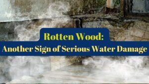 rotten wood sign of water damage