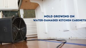 Water-damaged kitchen cabinets
