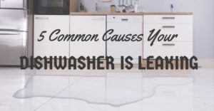 Dishwasher Leakage