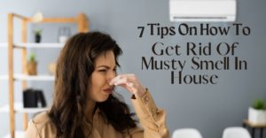 how to get rid of musty smell in house