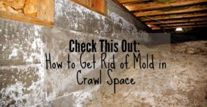 how to get rid of mold in crawl space