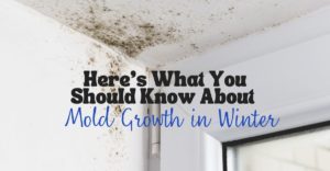 mold growth in winter