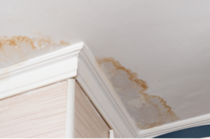 signs of water damage in ceiling