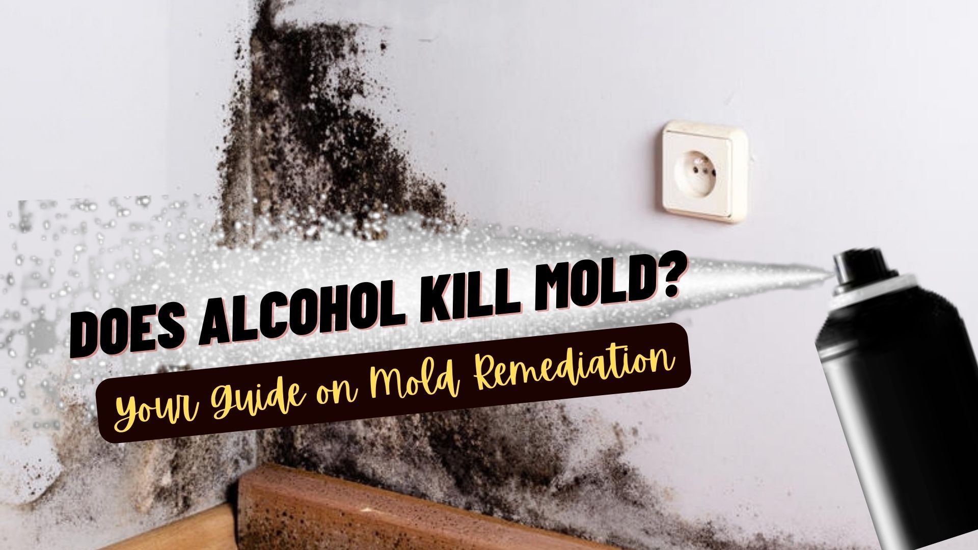 does alcohol kill mold