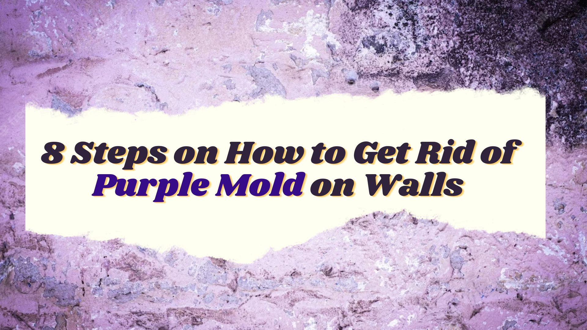 purple mold on walls