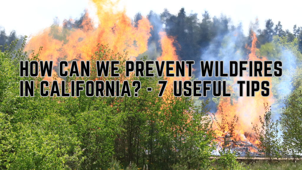 How can we prevent wildfires in California