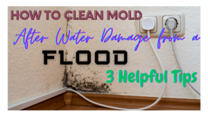 How to Clean Mold After Water Damage
