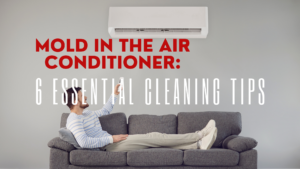 Mold in the Air Conditioner