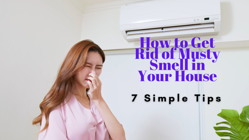 how to get rid of musty smell in house