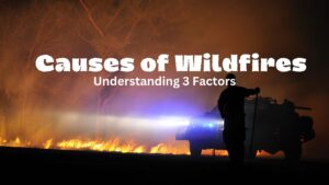 what are the causes of wildfires