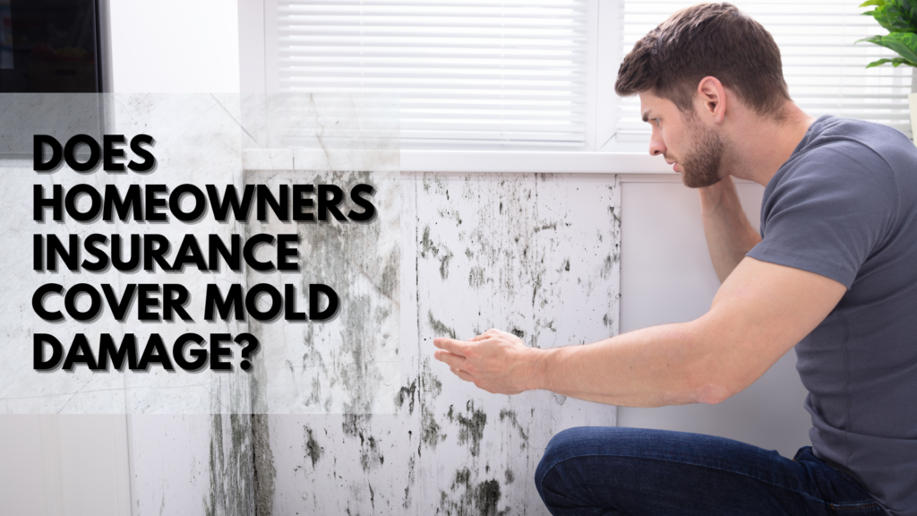 does homeowners insurance cover mold damage