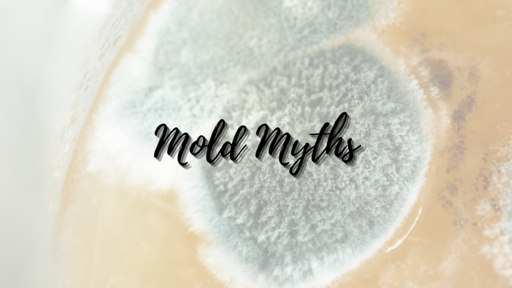 mold myths