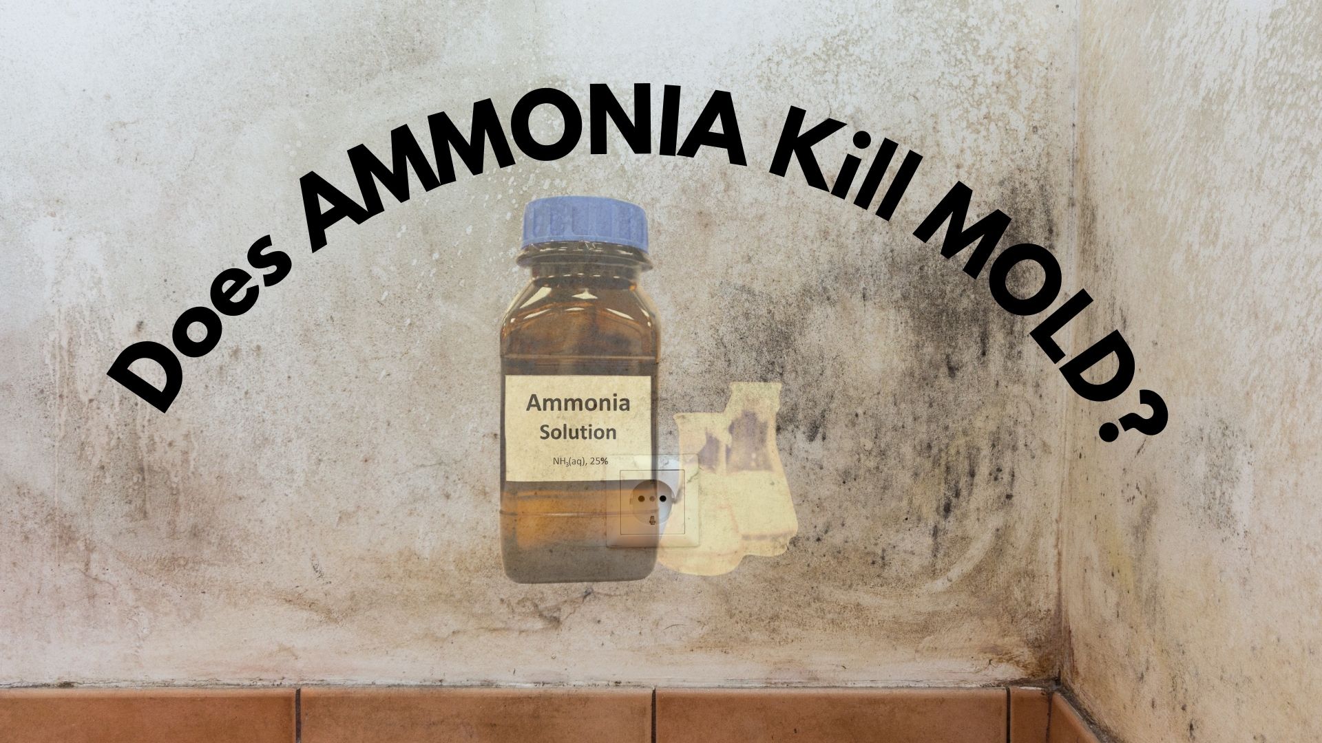 does ammonia kill mold