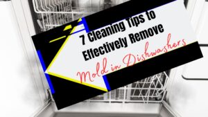 7 cleaning tips mold in dishwasher