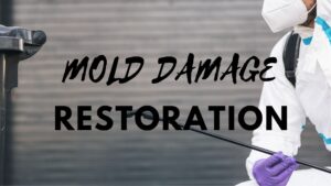 mold damage restoration